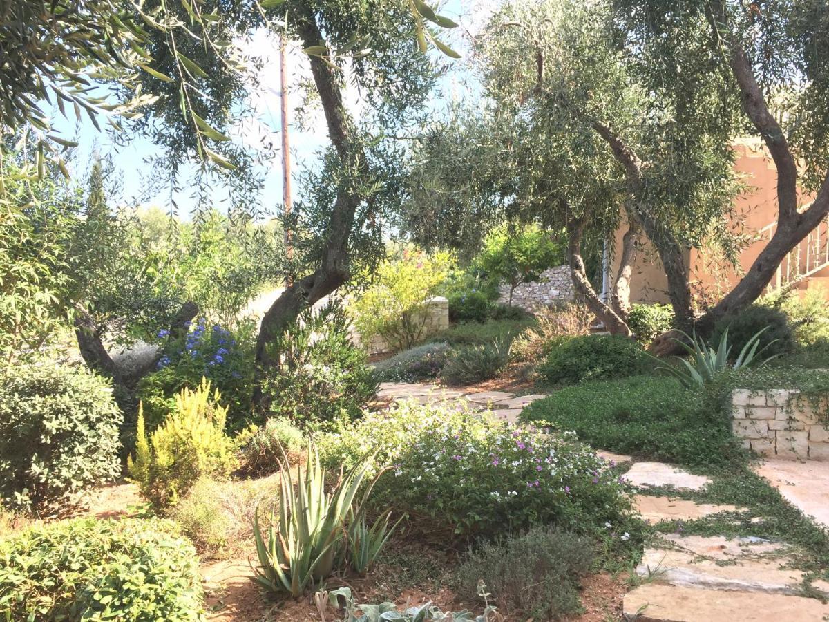 Villa Dinos Tranakátika Exterior foto